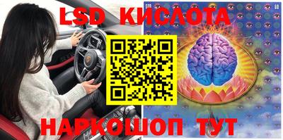 прущие крисы Нальчик