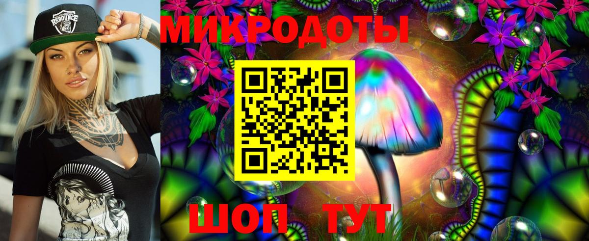 Галлюциногенные грибы Psilocybe  Галлюциногенные грибы мухоморы  Тула  Вход с VPN 